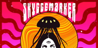 Nyt album fra Skifting