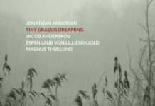 Tiny Grass Is Dreaming