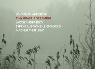 Tiny Grass Is Dreaming