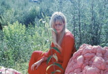 Popkunst fra grænselandet