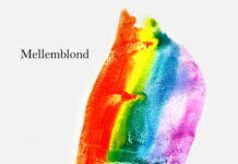 Mellemblond – Solregn