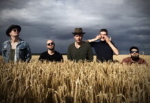 “Brændenælden”