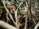 FEATHER MOUNTAIN udgiver nyt Alzheimer-tematisk album