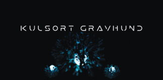 Kulsort Gravhund