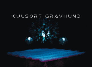 Kulsort Gravhund