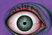 Med Snigløbers debutalbum “Et Øjebliks Vanvid” lyder startskuddet på en forunderlig rejse gennem tiden