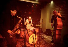 Trioen Dinesen, Christensen og Sonne udgiver albummet ”Moonlight Drive”