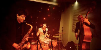 Trioen Dinesen, Christensen og Sonne udgiver albummet ”Moonlight Drive”